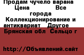 Продам чучело варана › Цена ­ 15 000 - Все города Коллекционирование и антиквариат » Другое   . Брянская обл.,Сельцо г.